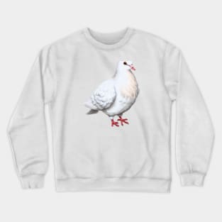 Cute Dove Drawing Crewneck Sweatshirt